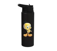 Looney Tunes Tweety Bird Airbrushed Stainless Steel Insulated Water Bottle