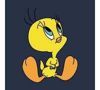 Looney Tunes Tweety Sitting Hoodie - Navy - L