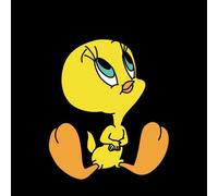 Looney Tunes Tweety Sitting Sweatshirt - Black - M