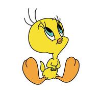 Looney Tunes Tweety Sitting Women's T-Shirt - White - S