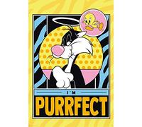 Looney Tunes Tweety & Slyvester 61 x 91.5cm Maxi Poster