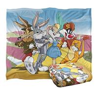 LOONEY TUNES WB 100: Blanket, 152 x 127 cm Wizard of Oz Silky Touch Super Soft Throw Blanket