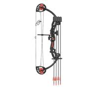 Loongchan Versatile Youth Compound Bow Set, Adjustable Draw Weight and Length for Growing Archers, Complete with Arrows and Target Paper for Right Hand Use (Black)