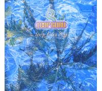 Loop Guru - Loop Bites Dog