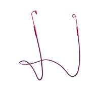 Loop Tomorrowland x Loop Link - Holographic Ruby - Earplugs