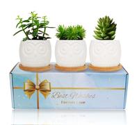 LOOPES Owl Succulent Plant Pot Gifts for Women Set of 3,DIY Colouring Owl Bonsai Pots Ceramic Flower Planter Plant Pot with Drainage and Bamboo Tray Home and Office Christmas Decor Desktop Windowsill