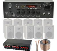 10 Speaker 5 Zone Background Music Kit Bluetooth Sound System Restaurant Shop