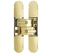 Loops 134 x 24mm Concealed Medium Duty Hinge Fits Unrebated Doors Brass Plated in Metallics Loops Metallics