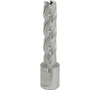 Loops 13mm x 50mm Depth Rotabor Cutter - M2 Steel Annular Metal Core Drill 19mm Shank in Metallics Loops Metallics
