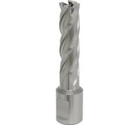 Loops 14mm x 50mm Depth Rotabor Cutter - M2 Steel Annular Metal Core Drill 19mm Shank in Metallics Loops Metallics