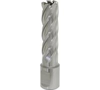 Loops 16mm x 50mm Depth Rotabor Cutter - M2 Steel Annular Metal Core Drill 19mm Shank in Metallics Loops Metallics