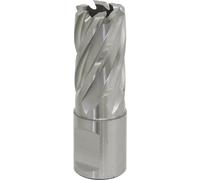 Loops 18mm x 25mm Depth Rotabor Cutter - M2 Steel Annular Metal Core Drill 19mm Shank in Metallics Loops Metallics