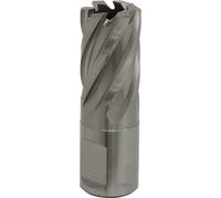 Loops 19mm x 25mm Depth Rotabor Cutter - M2 Steel Annular Metal Core Drill 19mm Shank in Metallics Loops Metallics