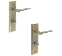Loops 2 Pack Antique Brass Door Handle Set With Backplate For Bathroom - Solid Brass Interior Handle