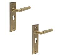 Loops 2 Pack Antique Brass Euro Backplate Door Handle With Luxury Design - Solid Brass Interior Handle