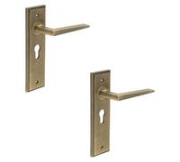 Loops 2 Pack Elegant Antique Brass Door Handle With Euro Backplate Solid Brass - Interior Handle