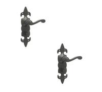 Loops 2 Pack Elegant Fleur De Lys Black Door Handle For Bathrooms - Interior Lever On Backplate
