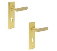 Loops 2 Pack Elegant Satin Brass Door Handle With Euro Backplate For Premium Interiors - Solid Brass Interior Handle