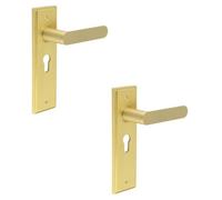 Loops 2 Pack Elegant Satin Brass Euro Backplate Door Handle For Luxury Interiors - Solid Brass Interior Handle