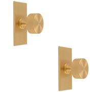Loops 2 Pack - Knurled Radio Cabinet Door Knob & Matching Backplate - Satin Brass 76 X 40mm