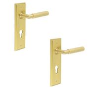 Loops 2 Pack Premium Satin Brass Euro Backplate Door Handle With Lever - Solid Brass Interior Handle