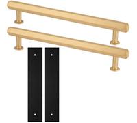 Loops 2 Pack - Pull Handle & Contrasting Backplate Set - Industrial Hex T Bar - Satin Brass & Black