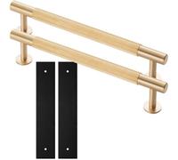Loops 2 Pack - Pull Handle & Contrasting Backplate Set - Reeded Lined T Bar - Satin Brass & Black