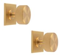 Loops 2 Pack - Reeded Radio Cabinet Door Knob & Matching Backplate Lined Satin Brass 40 X 40mm