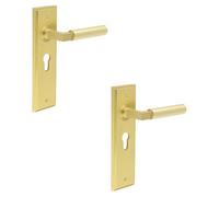 Loops 2 Pack Satin Brass Euro Backplate Door Handle For Modern Homes - Solid Brass Interior Lever