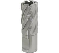 Loops 21mm x 25mm Depth Rotabor Cutter - M2 Steel Annular Metal Core Drill 19mm Shank in Metallics Loops Metallics