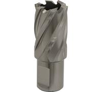 Loops 22mm x 25mm Depth Rotabor Cutter - M2 Steel Annular Metal Core Drill 19mm Shank in Metallics Loops Metallics
