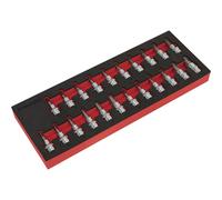 Loops 22pc TRX Star / Hex Key / Spline Socket Bit Set 3/8" Square Drive - 50mm Shaft Loops Multicolor