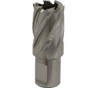 Loops 23mm x 25mm Depth Rotabor Cutter - M2 Steel Annular Metal Core Drill 19mm Shank in Metallics Loops Metallics