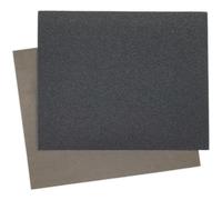 Loops 25 PACK Wet & Dry Abrasive Sand Paper - 230 x 280mm - 1000 Grit - Waterproof Loops Multicolor