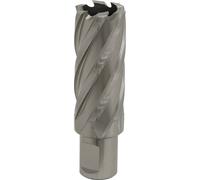 Loops 25mm x 50mm Depth Rotabor Cutter - M2 Steel Annular Metal Core Drill 19mm Shank in Metallics Loops Metallics