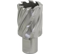Loops 29mm x 25mm Depth Rotabor Cutter - M2 Steel Annular Metal Core Drill 19mm Shank in Metallics Loops Metallics