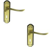 Loops 2x PAIR Curved Handle on Sculpted Lock Backplate 180 x 48mm Florentine Bronze Loops Multicolor