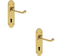 Loops 2x PAIR Victorian Upturned Handle on Lock Backplate 170 x 42mm Polished Brass in Metallics Loops Metallics