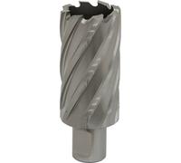 Loops 33mm x 50mm Depth Rotabor Cutter - M2 Steel Annular Metal Core Drill 19mm Shank in Metallics Loops Metallics
