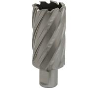 Loops 34mm x 50mm Depth Rotabor Cutter - M2 Steel Annular Metal Core Drill 19mm Shank in Metallics Loops Metallics