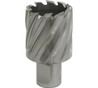 Loops 35mm x 25mm Depth Rotabor Cutter - M2 Steel Annular Metal Core Drill 19mm Shank in Metallics Loops Metallics