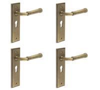 Loops 4 Pack Elegant Antique Brass Euro Backplate Door Handle For Luxury Homes - Solid Brass Interior Handle
