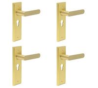 Loops 4 Pack Elegant Satin Brass Euro Backplate Door Handle For Luxury Interiors - Solid Brass Interior Handle