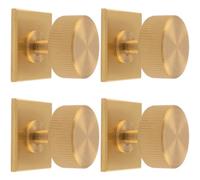 Loops 4 Pack - Reeded Radio Cabinet Door Knob & Matching Backplate Lined Satin Brass 40 X 40mm