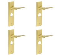 Loops 4 Pack Satin Brass Bathroom Door Handle With Backplate For Modern Homes - Solid Brass Interior Handle