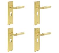 Loops 4 Pack Satin Brass Euro Backplate Door Handle For Modern Homes - Solid Brass Interior Lever