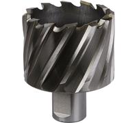 Loops 50mm x 25mm Depth Rotabor Cutter - M2 Steel Annular Metal Core Drill 19mm Shank in Metallics Loops Metallics
