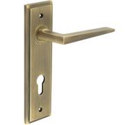 Loops Antique Brass Euro Backplate Door Handle For Modern Homes - Interior Handle