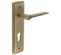 Loops Antique Brass Euro Backplate Door Handle For Modern Homes - Solid Brass Interior Handle