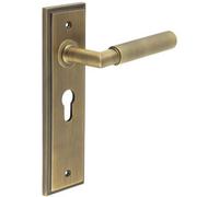 Loops Antique Brass Euro Backplate Door Handle With Luxury Design - Solid Brass Interior Handle